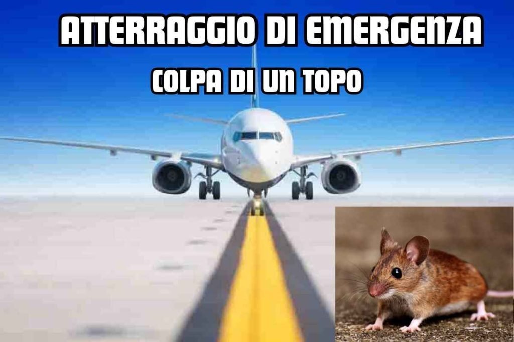 atterraggio emergenza topo