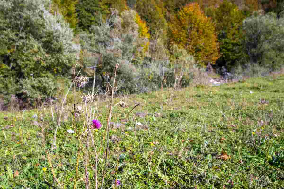 Abruzzo luogo bellissimo da visitare