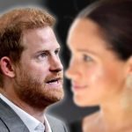 Principe Harry e Meghan divorzio