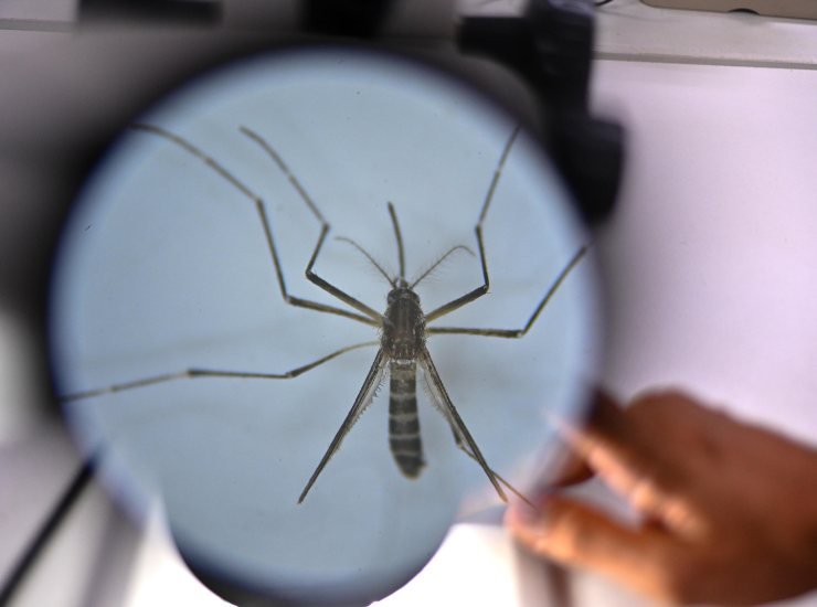 La decisione del Comune di Ortona dopo il caso di Dengue