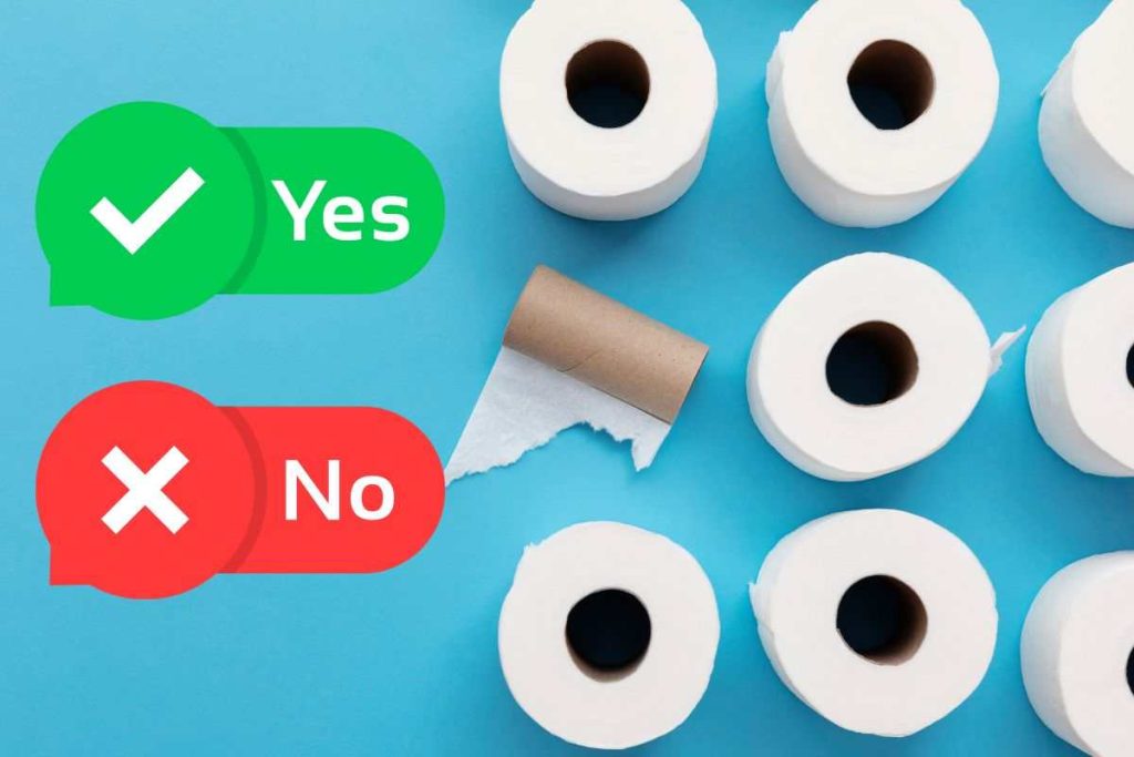 E' corretto coprire il bagno con la carta igienica