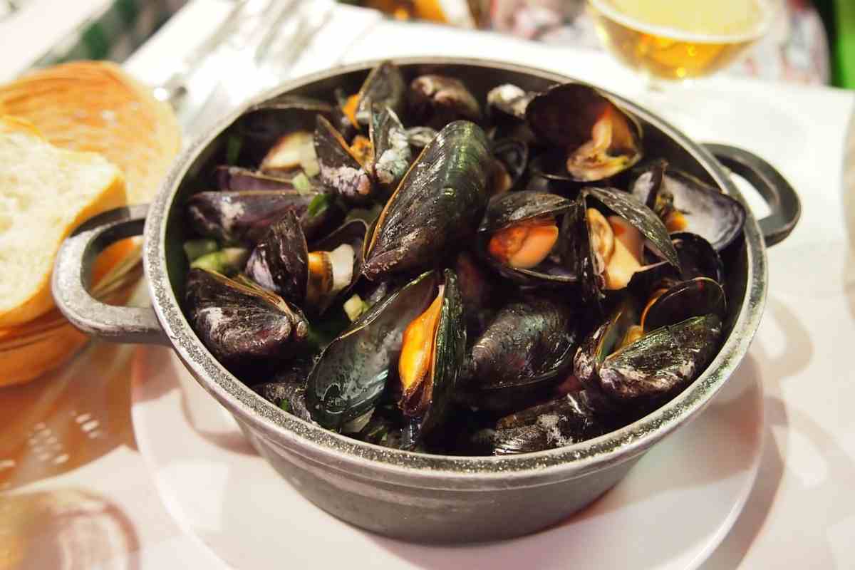 ricetta delle cozze in umido