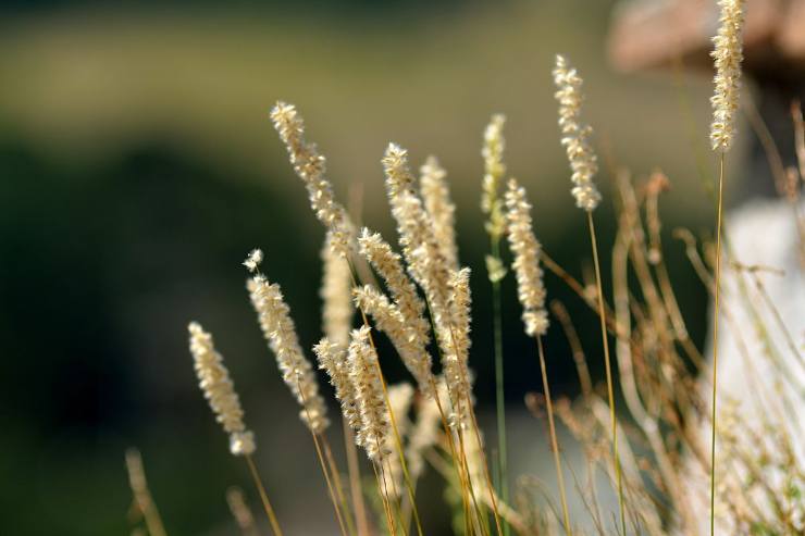 3 luoghi perfetti per un fine settimana in Abruzzo