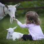 Nuova scoperta sul rapporto bambini-animali