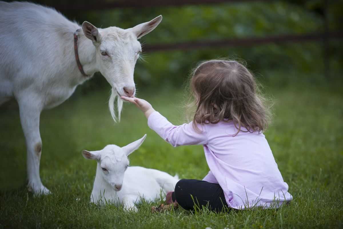 Nuova scoperta sul rapporto bambini-animali