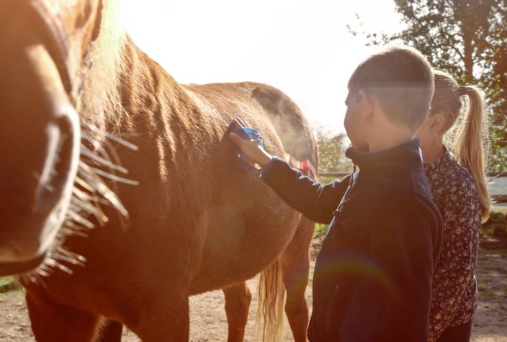 Nuovo studio fa incredibile scoperta sulla relazione tra animali e bambini