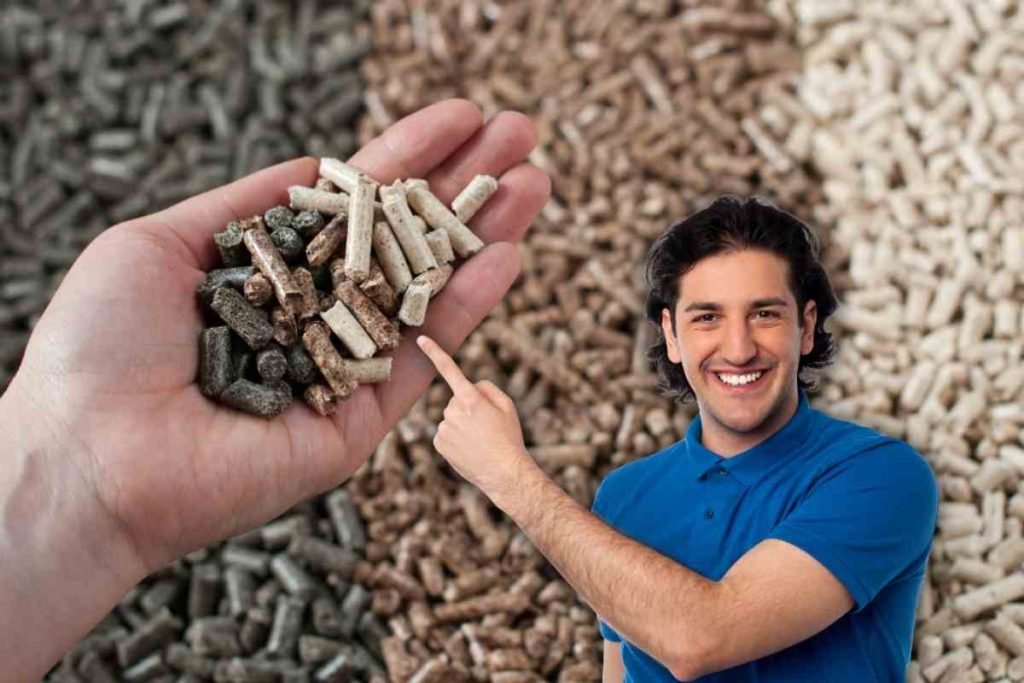 Come riconoscere il pellet migliore