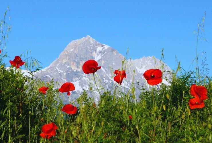 Abruzzo e camminate