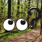 foresta e punto interrogativo