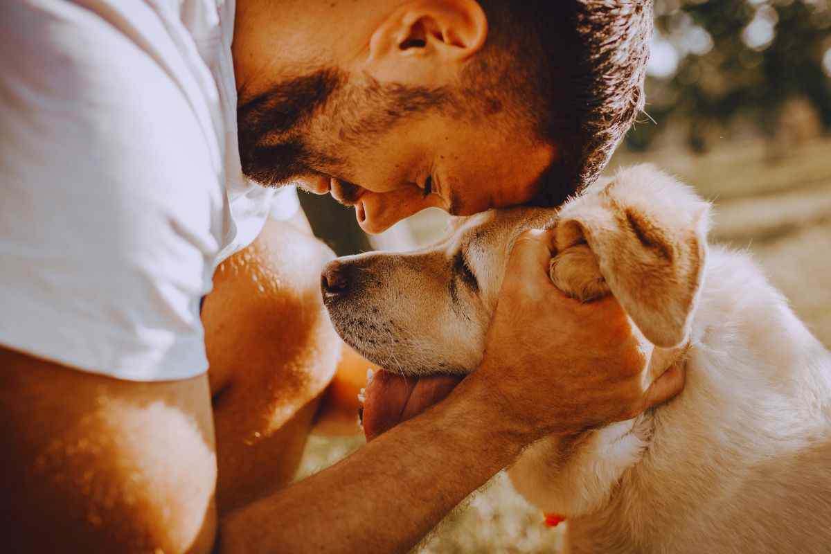 Cane in caso di divorzio