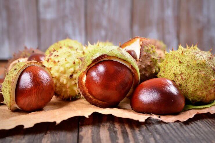 Castagne