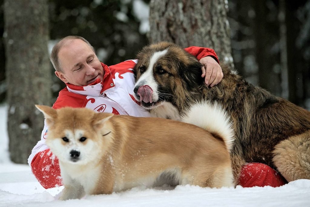 Vladimir Putin Cani