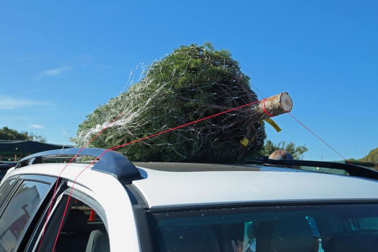 Albero-di-natale