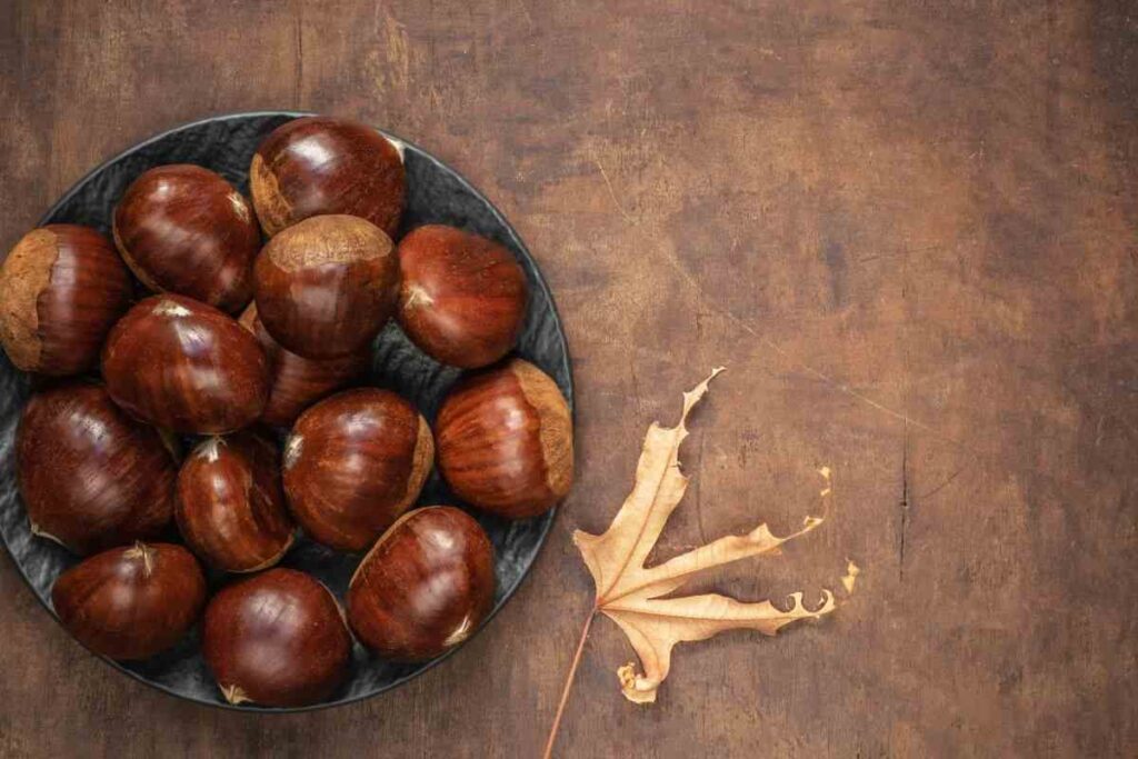 Castagne