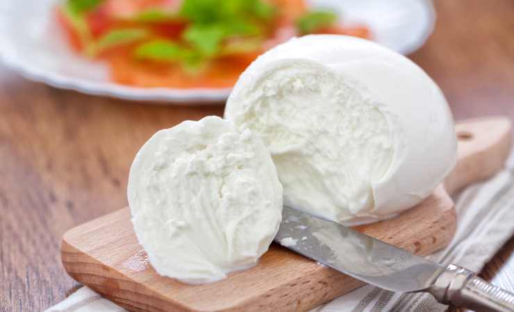 Mozzarella