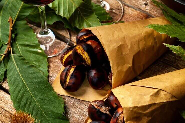 castagne cotte