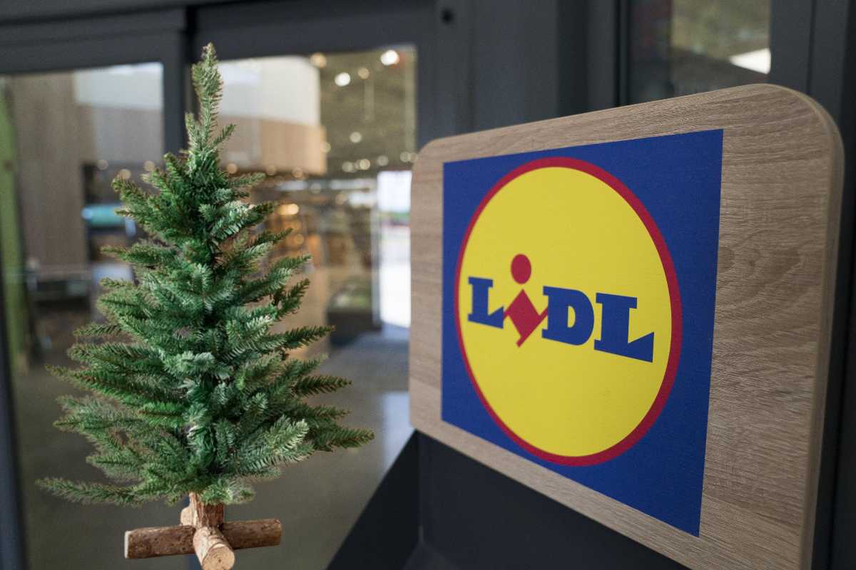 Lidl e albero