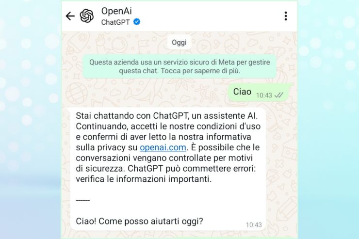 La chat con OpenAI di ChatGTP su Whatsapp