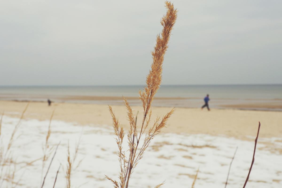 Natale con la neve al mare