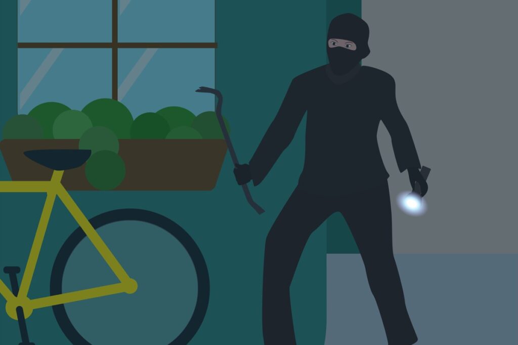 Un ladro in azione