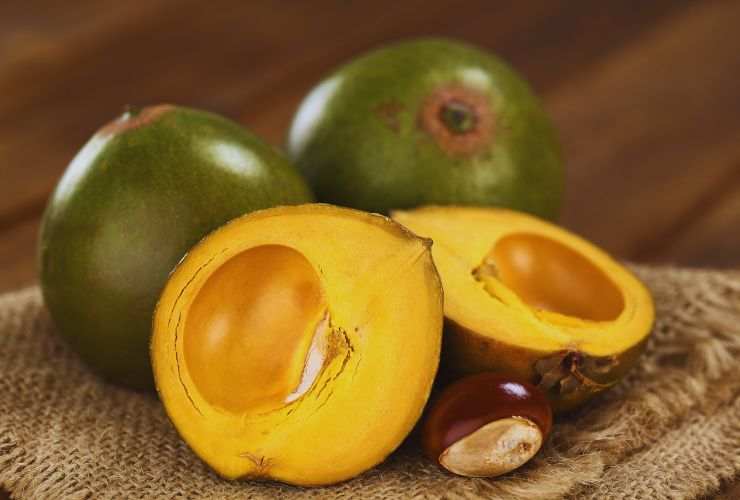 lucuma