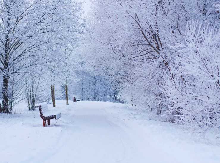 treno neve