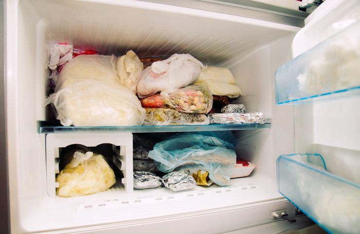 congelatore con cibo