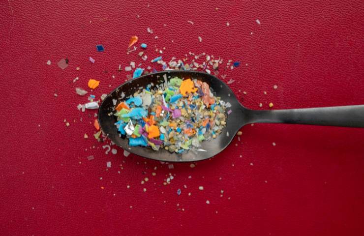Microplastiche in un cucchiaio