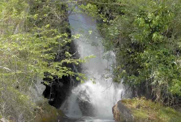 una cascata tra i boschi