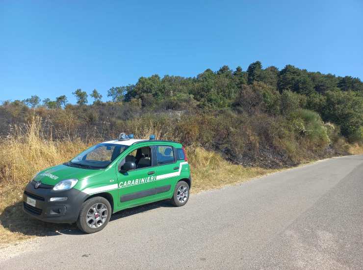 Auto della Forestale