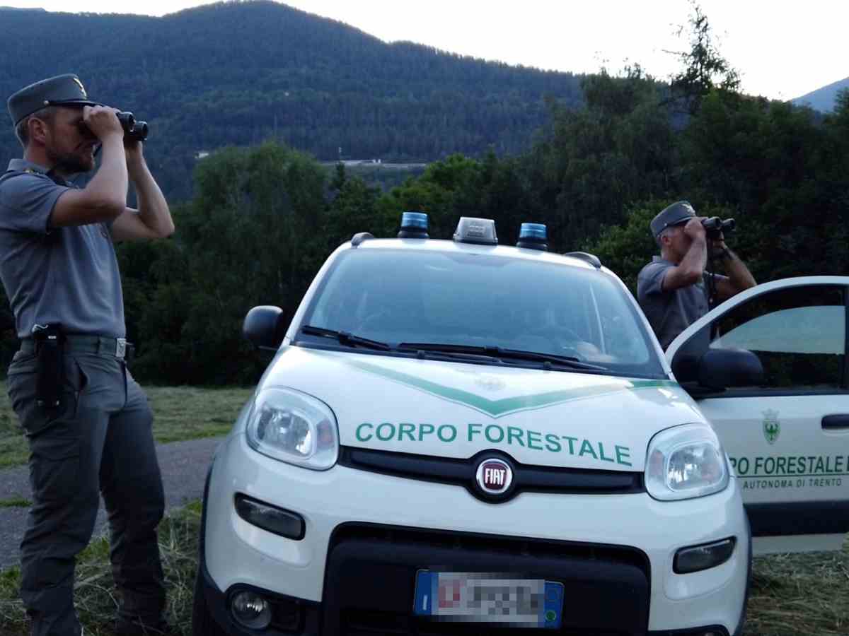 La macchina della Forestale