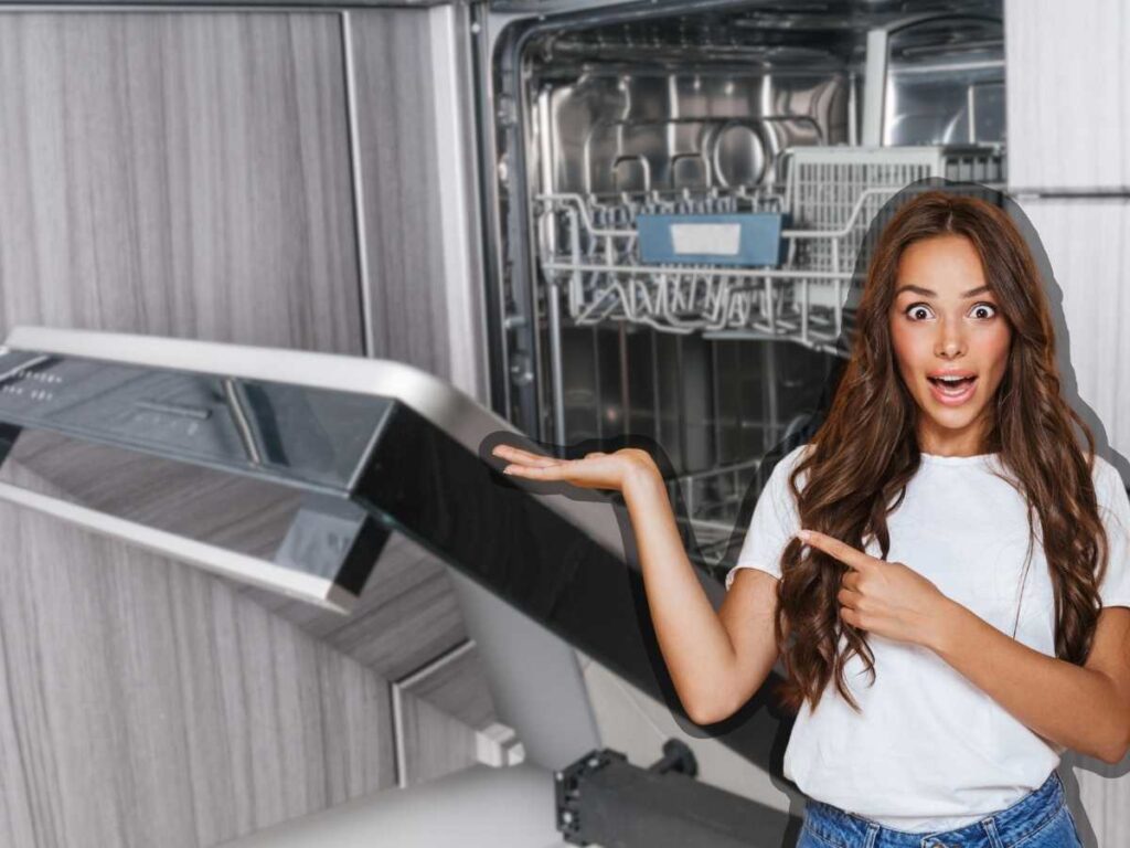 Lavastoviglie ragazza