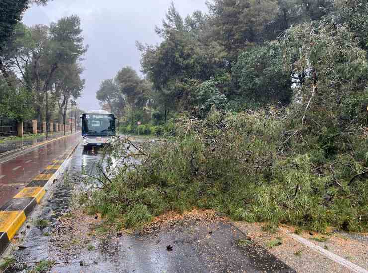Il maltempo in Abruzzo