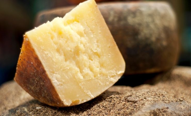 Pecorino