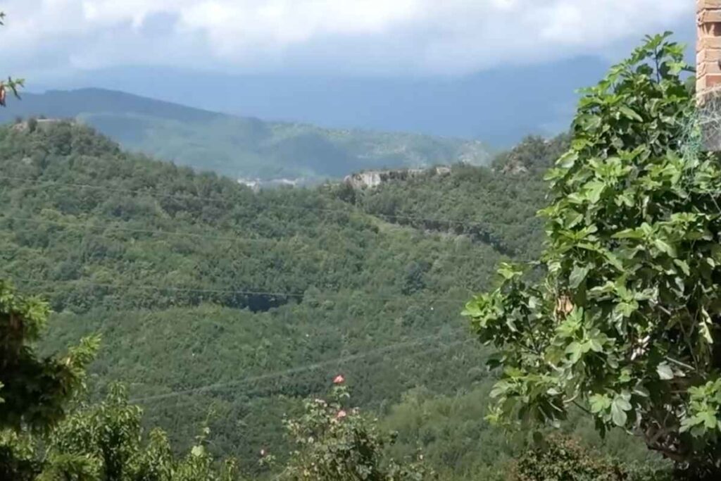 una vallata piena di verde