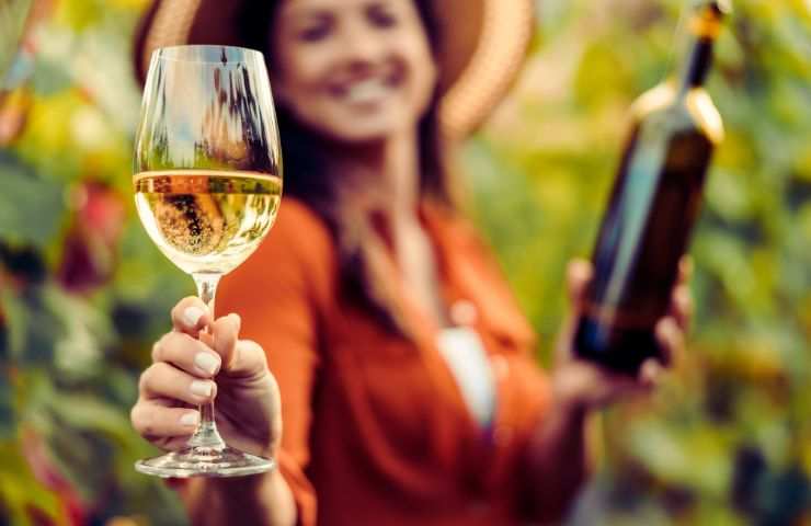 una ragazza nel vigneto con un bicchiere di vino e una bottiglia