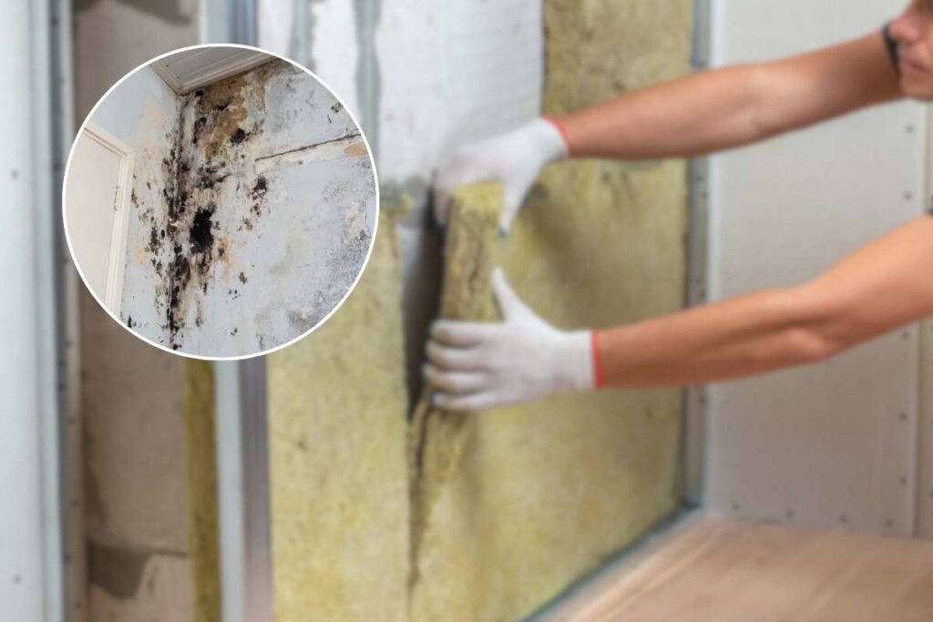 Installazione cappotto termico e muffa nel riquadro