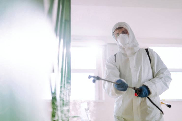 Persona fa la disinfestazione