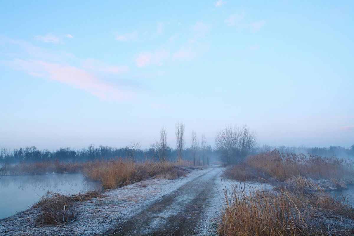 Panorama che mostra una distesa ghiacciata