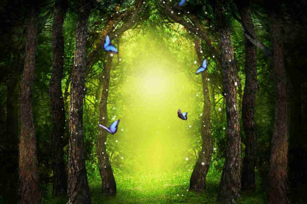 varco nel bosco simbolo delle leggende abruzzesi