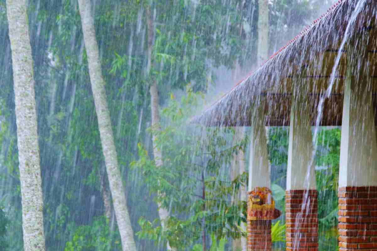 tetto bagnato da pioggia