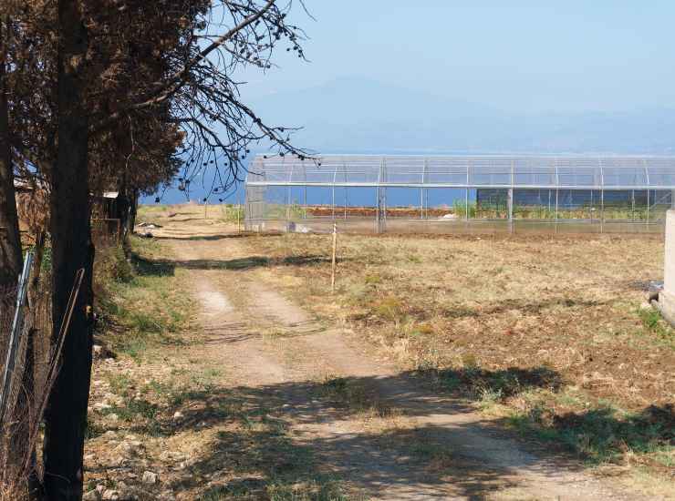 Una situazione di siccità