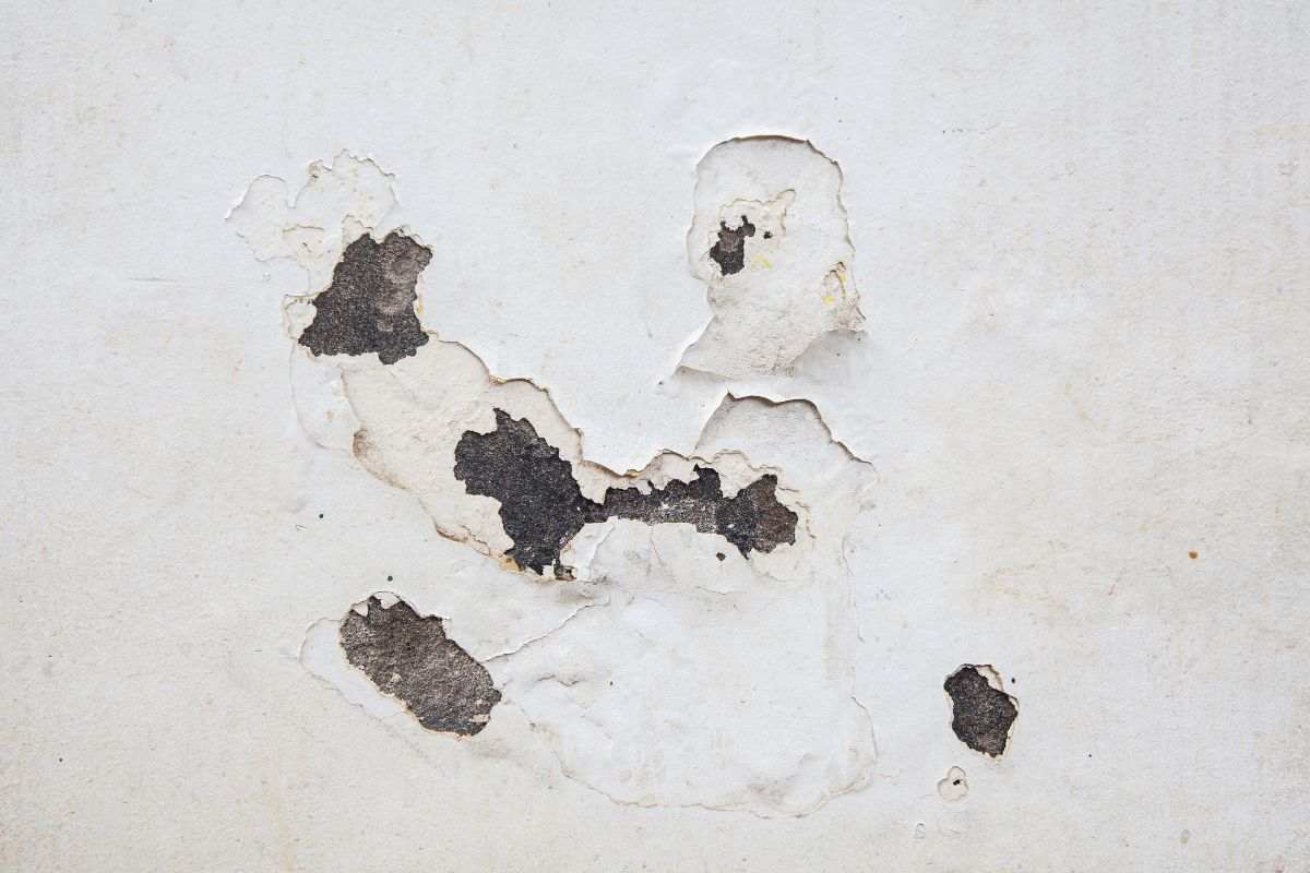 Muro umidità cosa c'è da sapere