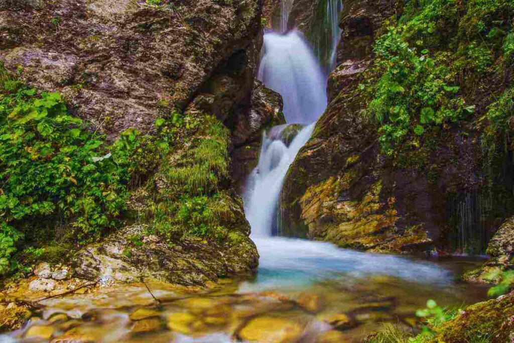 cascata d'acqua in mezzo alla foresta