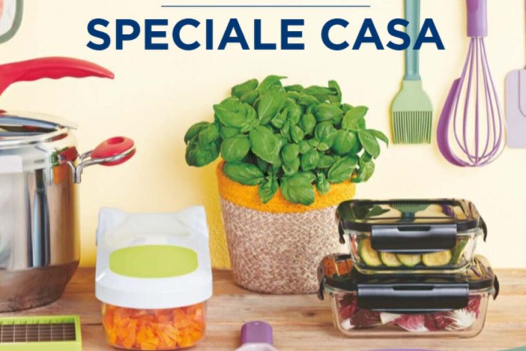 volantino di esselunga con in mostra una pianta di basilico e dei contenitori con dentro verdure