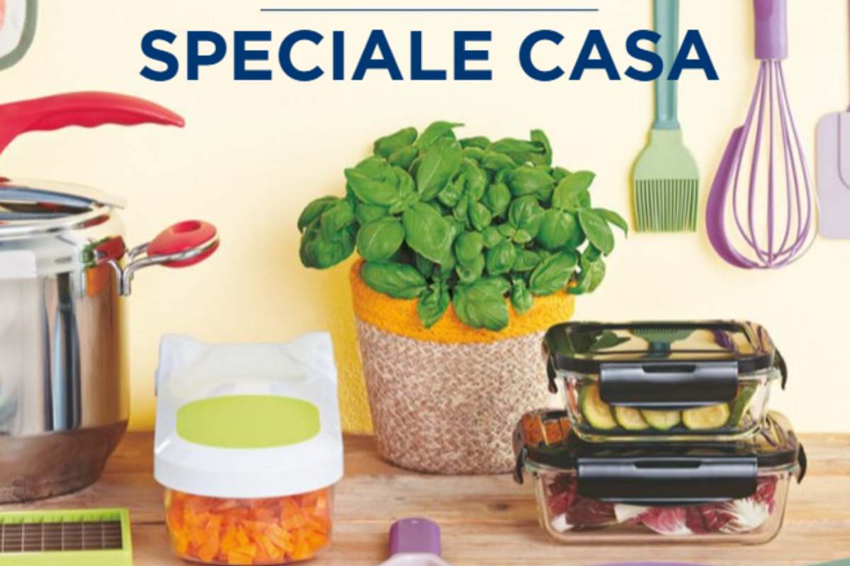 volantino di esselunga con in mostra una pianta di basilico e dei contenitori con dentro verdure