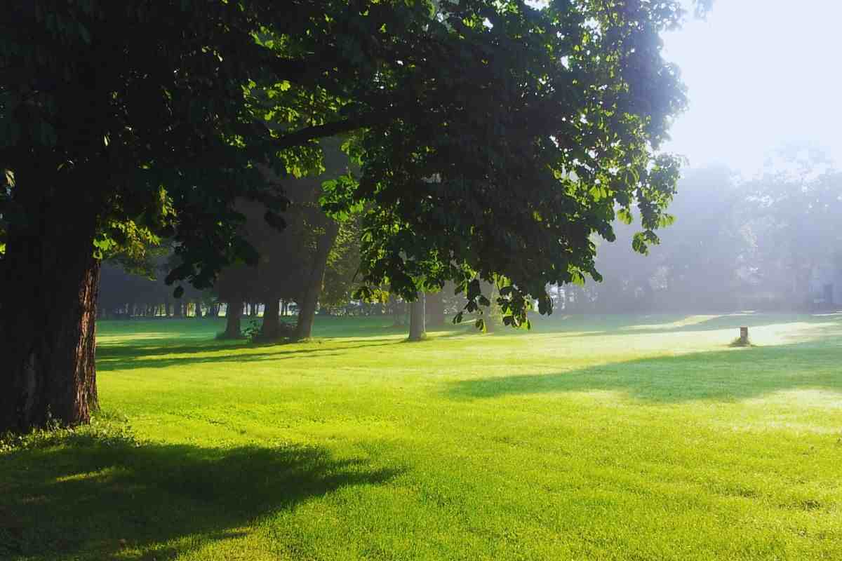 Parco baciato dal sole