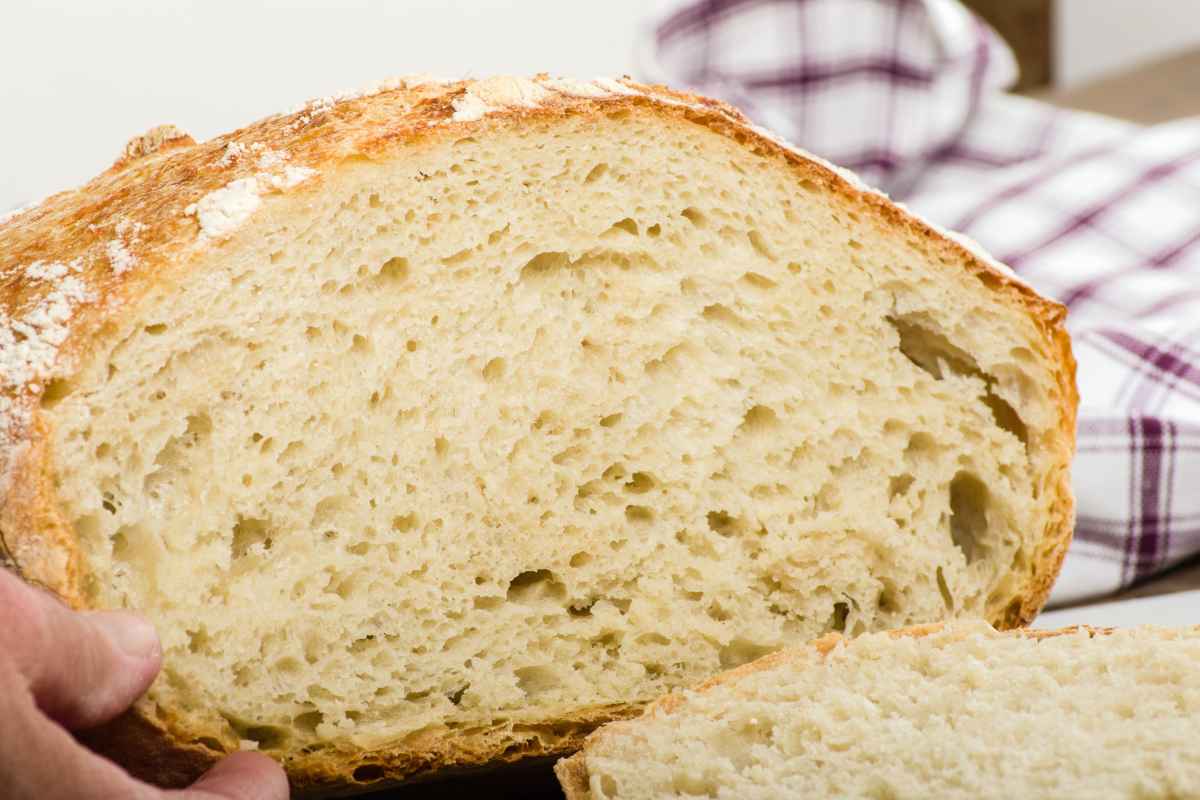 Pagnotta di pane