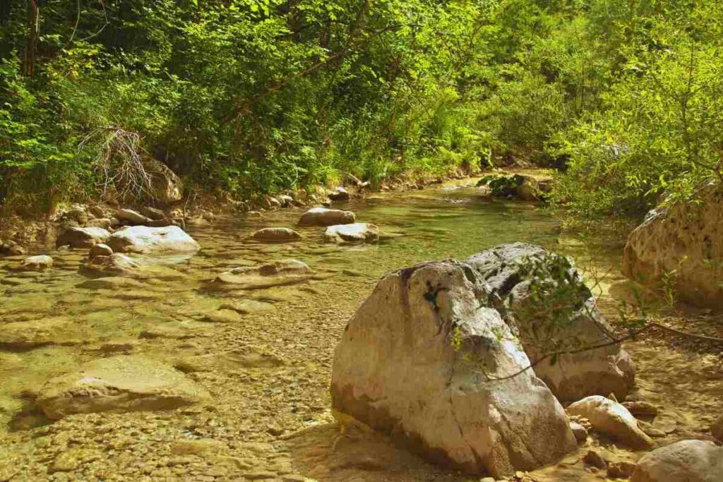 un torrente in una vallata