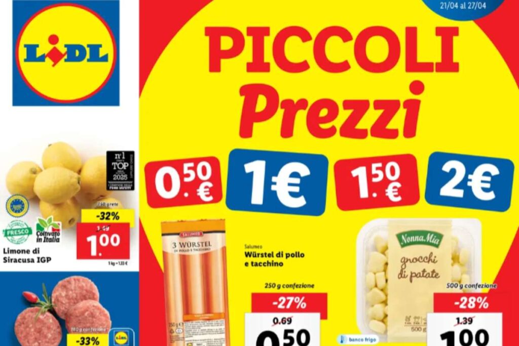 volantino lidl con prodotti in offerta